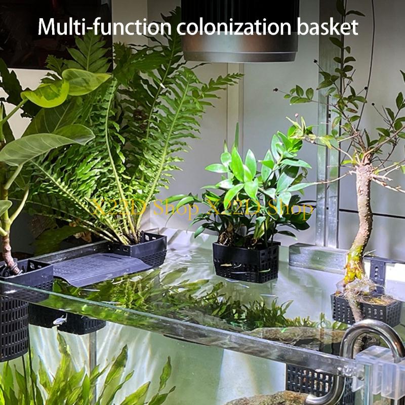 Aquarium Plant Holder - X22D Phong cách cổ xưa hiện