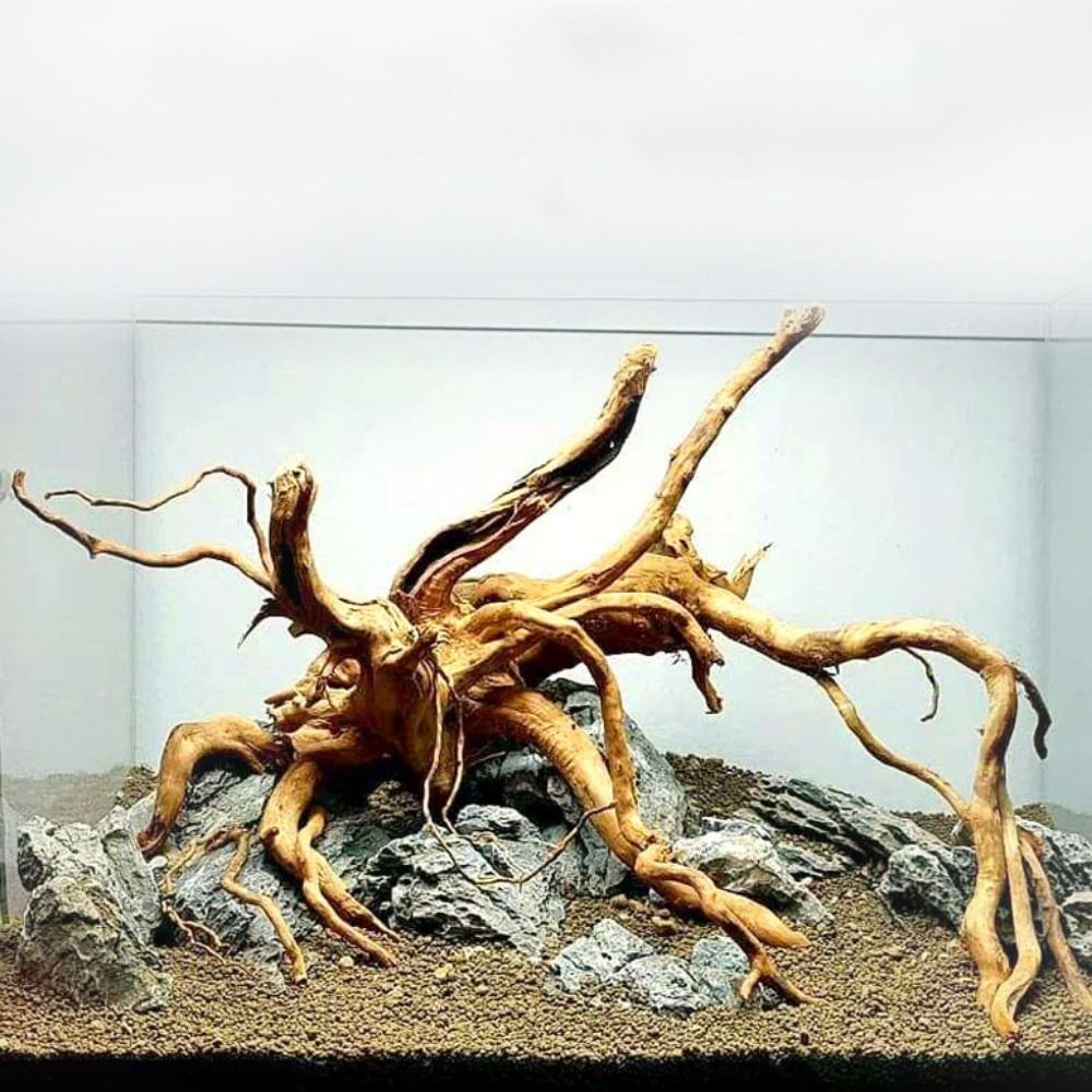 Aquarium Plant Substrate - 20-25CM Large Aquarium Driftwood Natural Fish