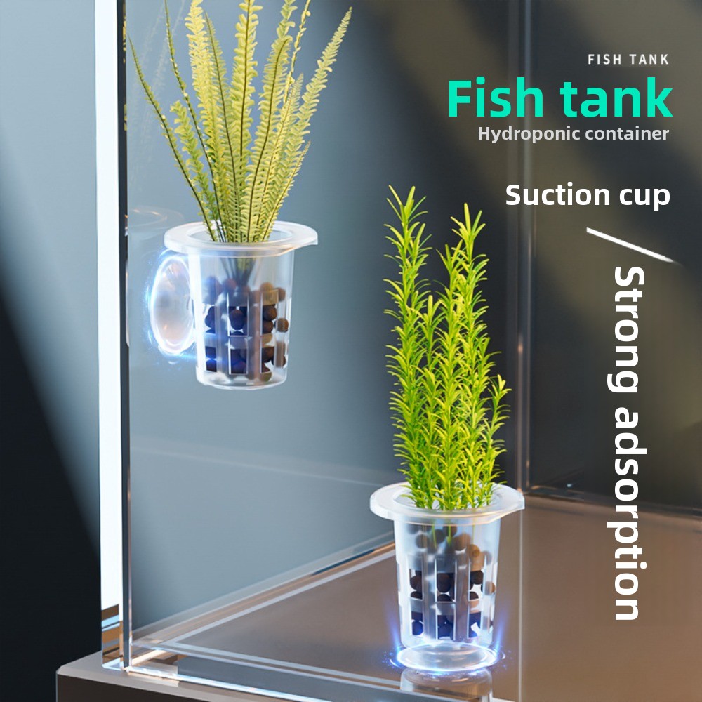 10Pcs Transparent Plant Hydrop - đánh giá và giá Aquarium Plant Holder