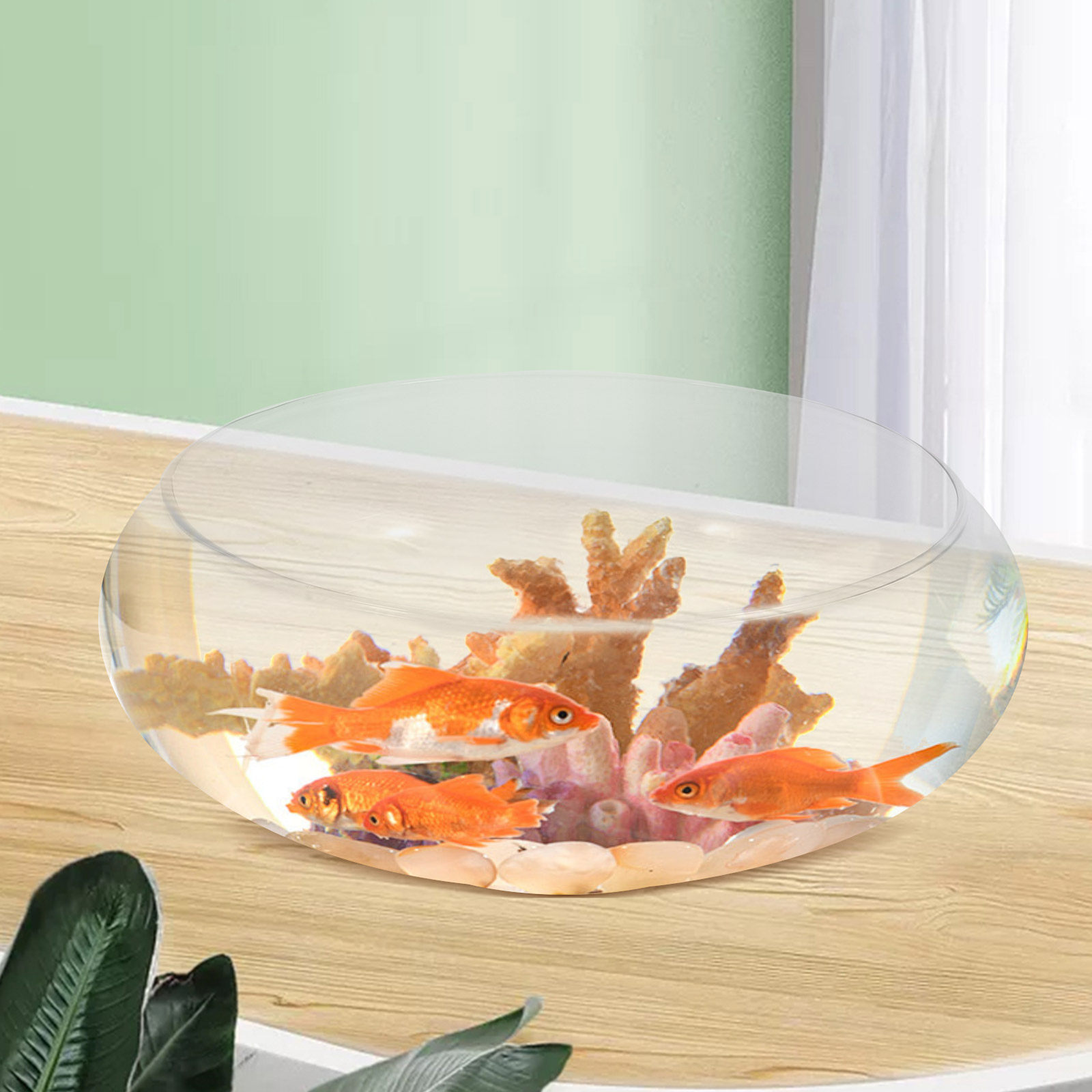 Glass Fish Bowl Small Fish Tan - đánh giá và giá Plant Aquarium Pot
