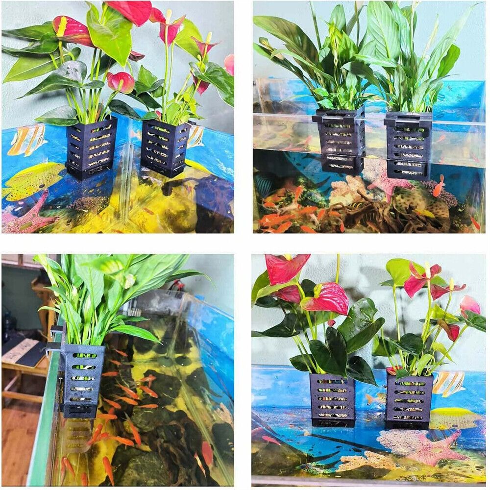 Aquarium Fish Tank Plant Holde - đánh giá và giá Aquarium Plant Holder