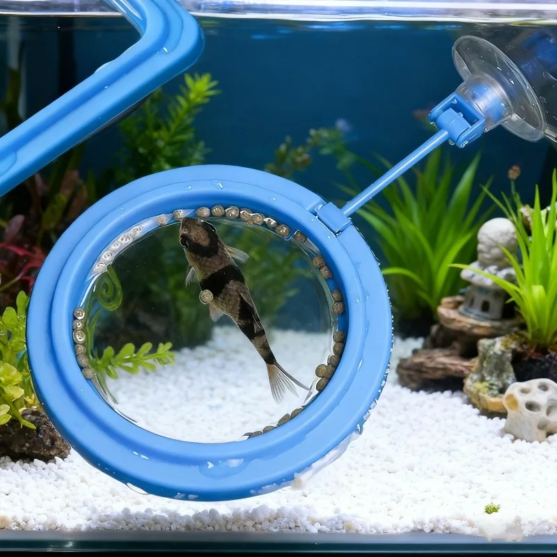 Aquarium Feeding Ring Fish Tan - đánh giá và giá Aquarium Fertilizer