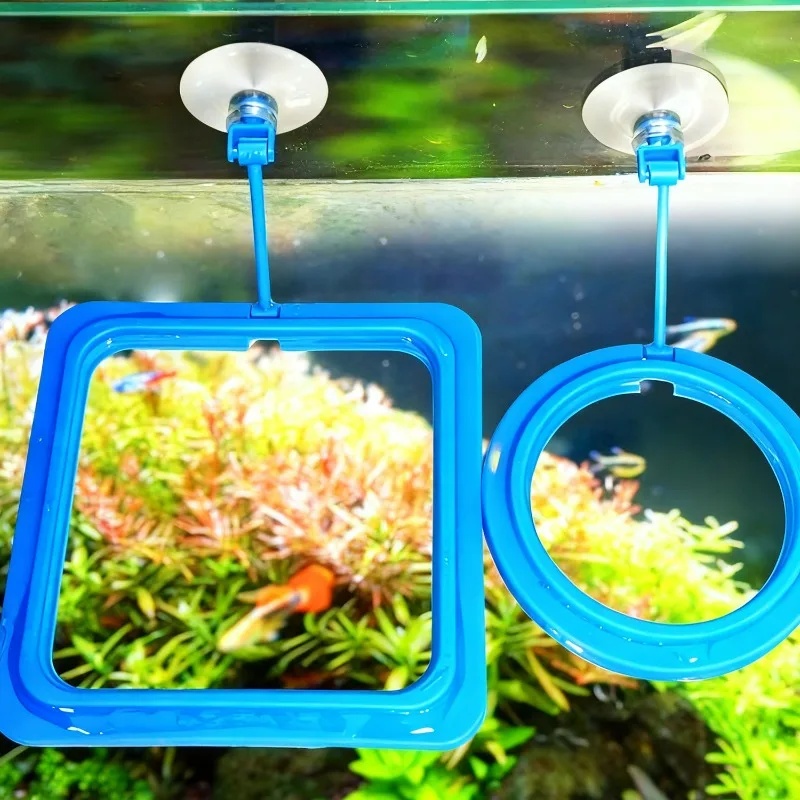 Aquarium Feeding Ring Fish Tan - đánh giá và giá Aquarium Fertilizer