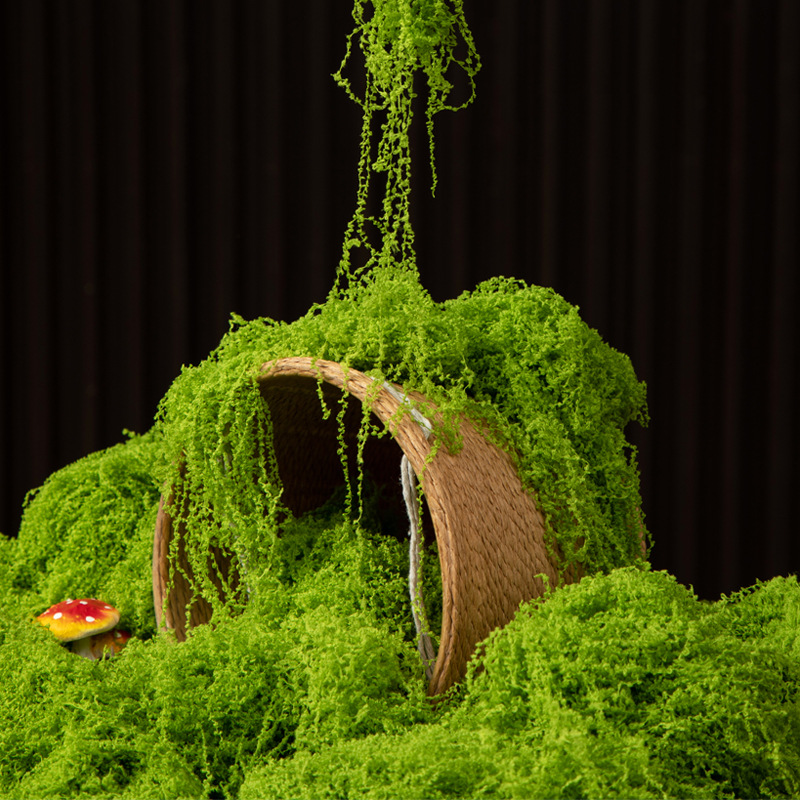 200g Eternal Life Moss DIY Cra - đánh giá và giá Aquarium Moss