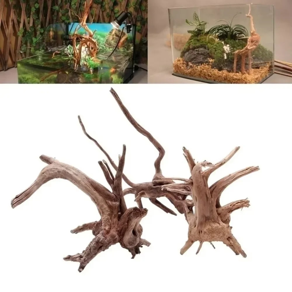 15-20CM Natural Driftwood Aqua - đánh giá và giá Aquarium Moss