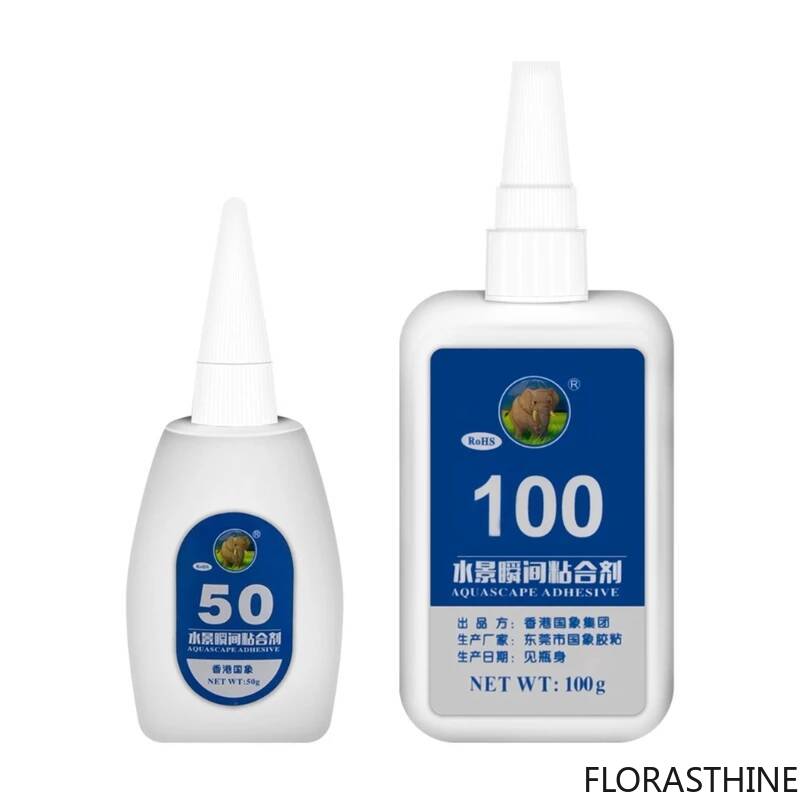 2PCS 5PCS /3/ Moss Clear Glues - đánh giá và giá Aquarium Moss