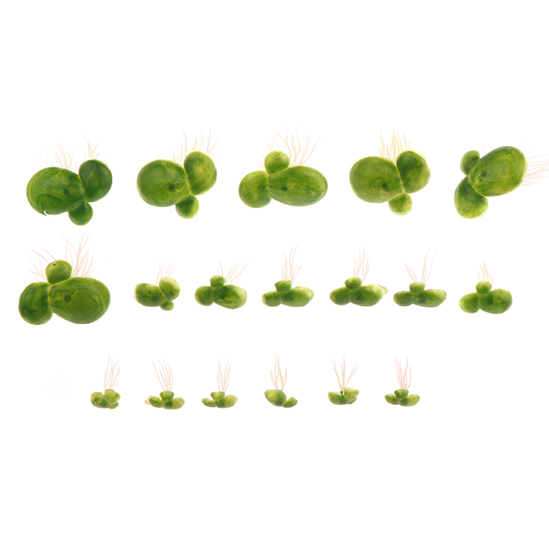 18pcs/set Aquarium Fish Tank D - đánh giá và giá Aquarium Plants Live