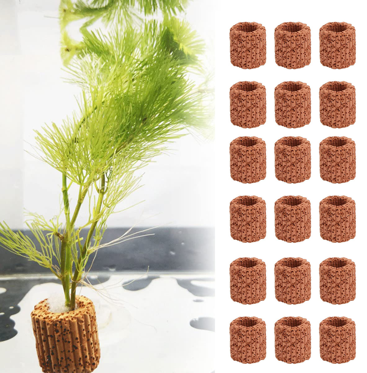 20 Cái/lốc Thủy Sinh Nước Nhẫn - đánh giá và giá Plant Aquarium Pot