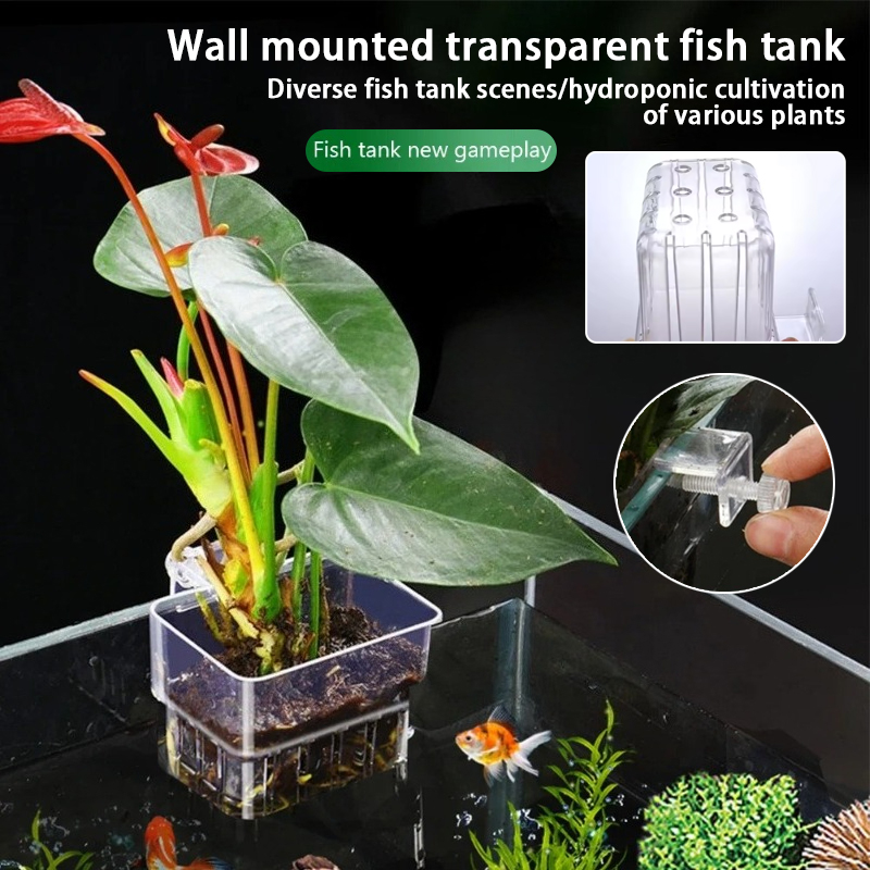 Aquarium Hanging Planter Cups  - đánh giá và giá Aquarium Plant Holder