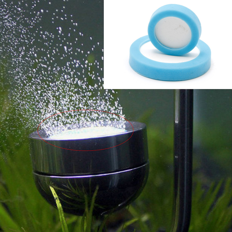 Hồ Cá Bubbler Không Đá Bộ CO2  - đánh giá và giá Aquarium Liquid Carbon