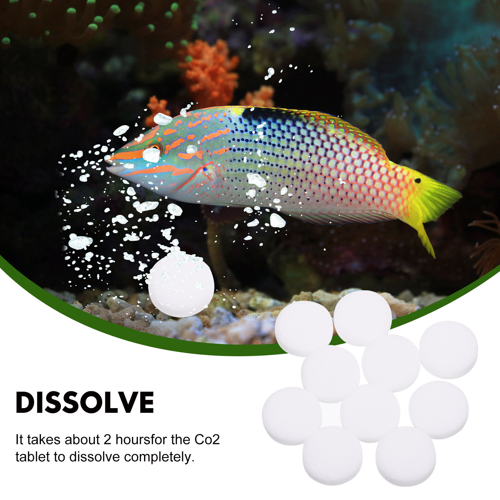 2Bags Convenient Aquarium Plan - đánh giá và giá Aquarium Fertilizer