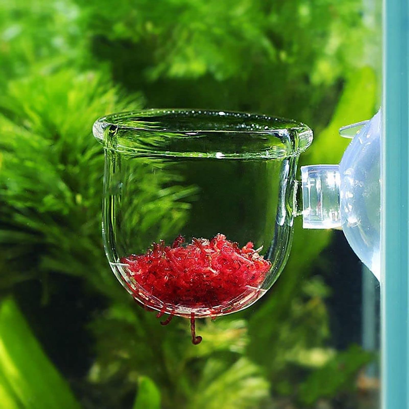 Aquarium Decoration Plant Cup  - đánh giá và giá Plant Aquarium Pot