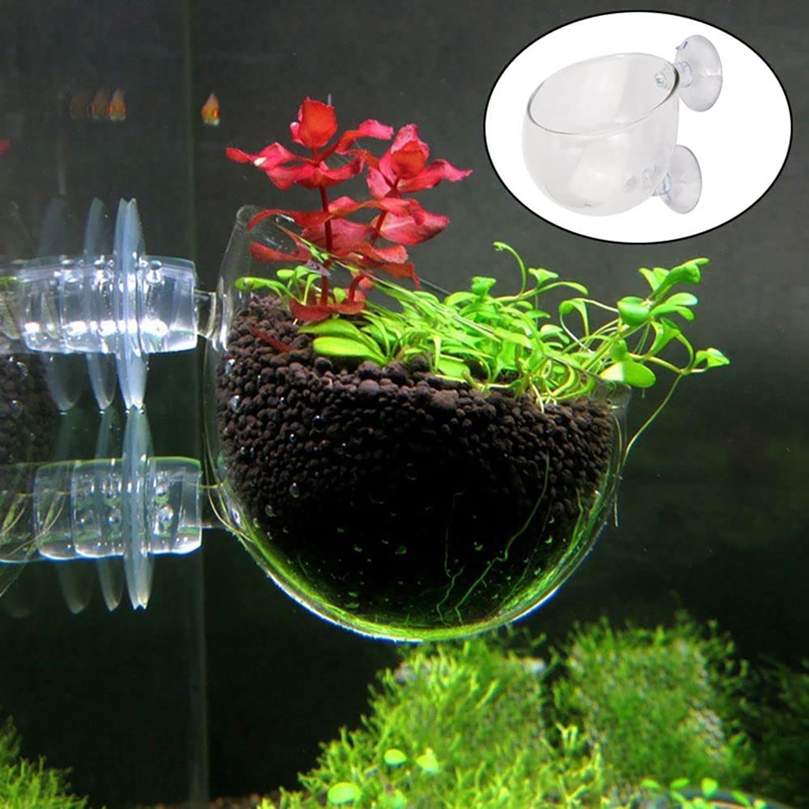 Aquarium Decoration Plant Cup  - đánh giá và giá Plant Aquarium Pot