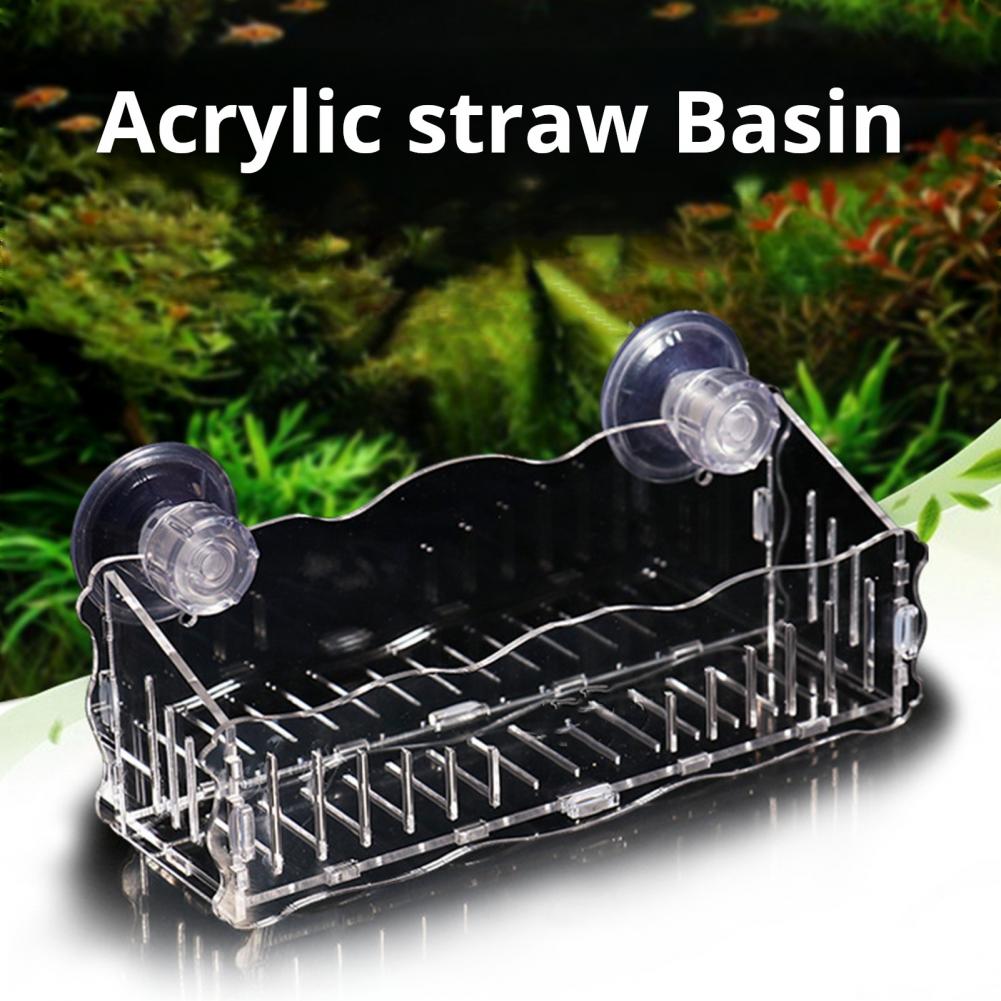 Plant Holder Suction Cup Potti - đánh giá và giá Aquarium Plant Holder