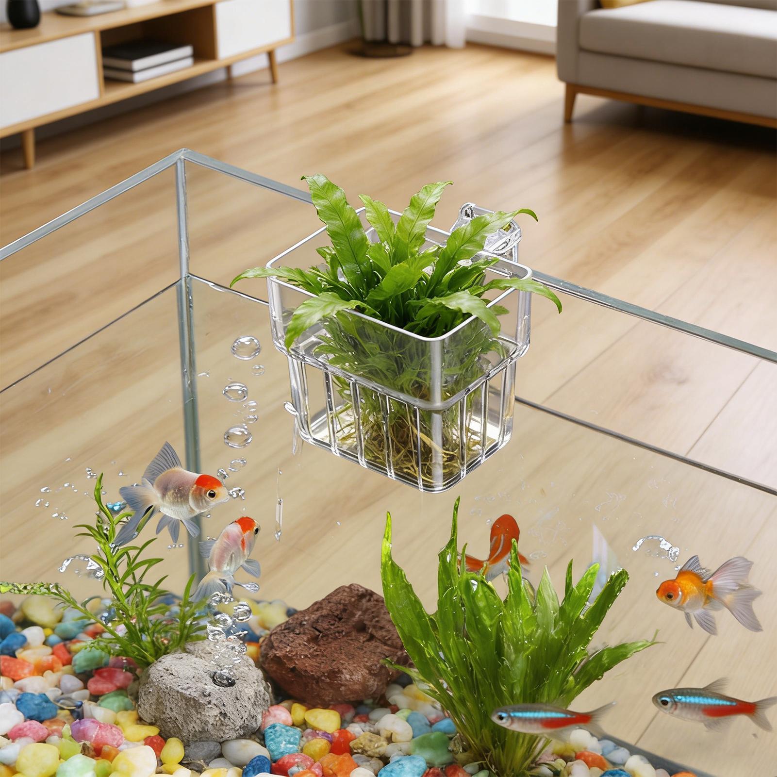 Transparent Hangable Aquarium  - đánh giá và giá Plant Aquarium Pot