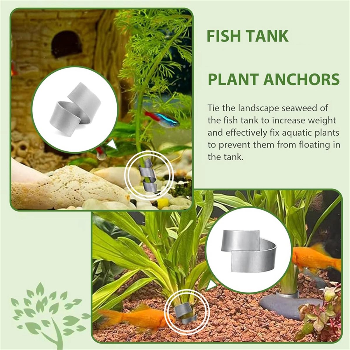 Time Saving Aquarium Plant Wei - đánh giá và giá Live Plant Aquarium