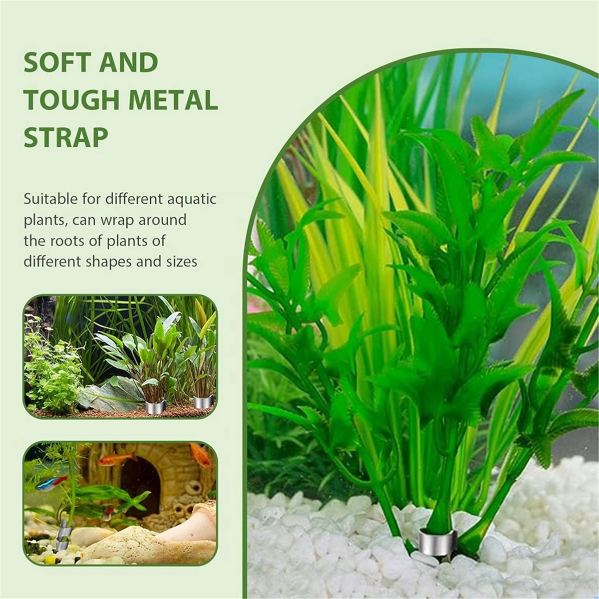 Time Saving Aquarium Plant Wei - đánh giá và giá Live Plant Aquarium