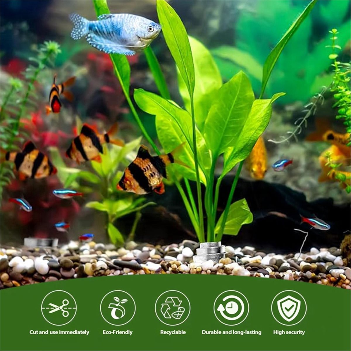 Time Saving Aquarium Plant Wei - đánh giá và giá Live Plant Aquarium