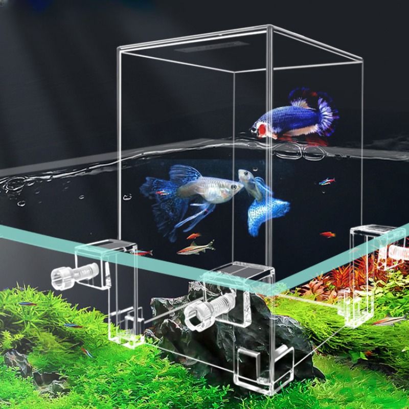 Creative Aquarium Tanks Negati - đánh giá và giá Plant Aquarium Pot