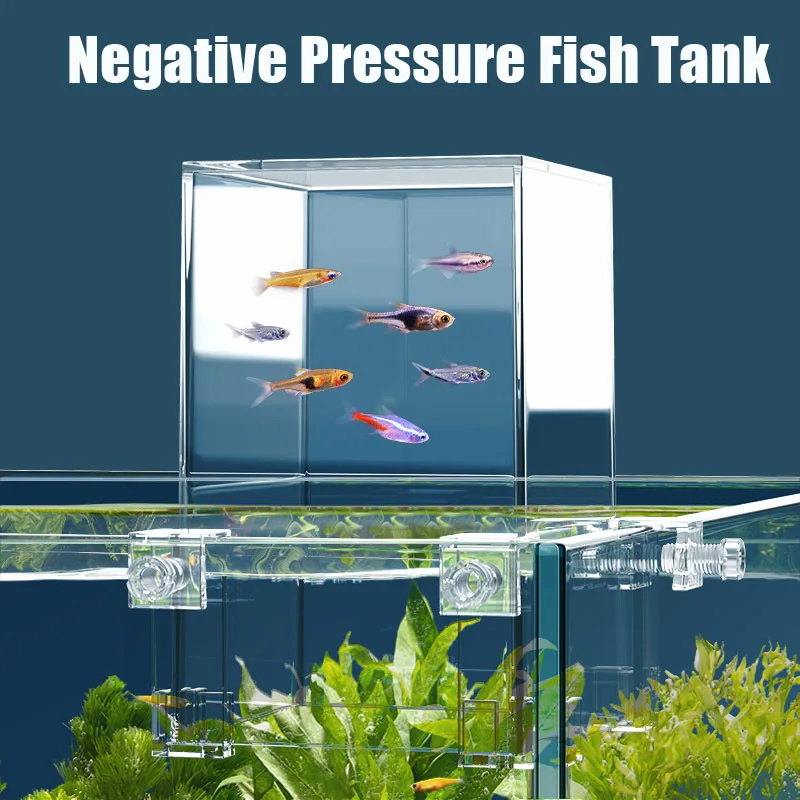 Creative Aquarium Tanks Negati - đánh giá và giá Plant Aquarium Pot