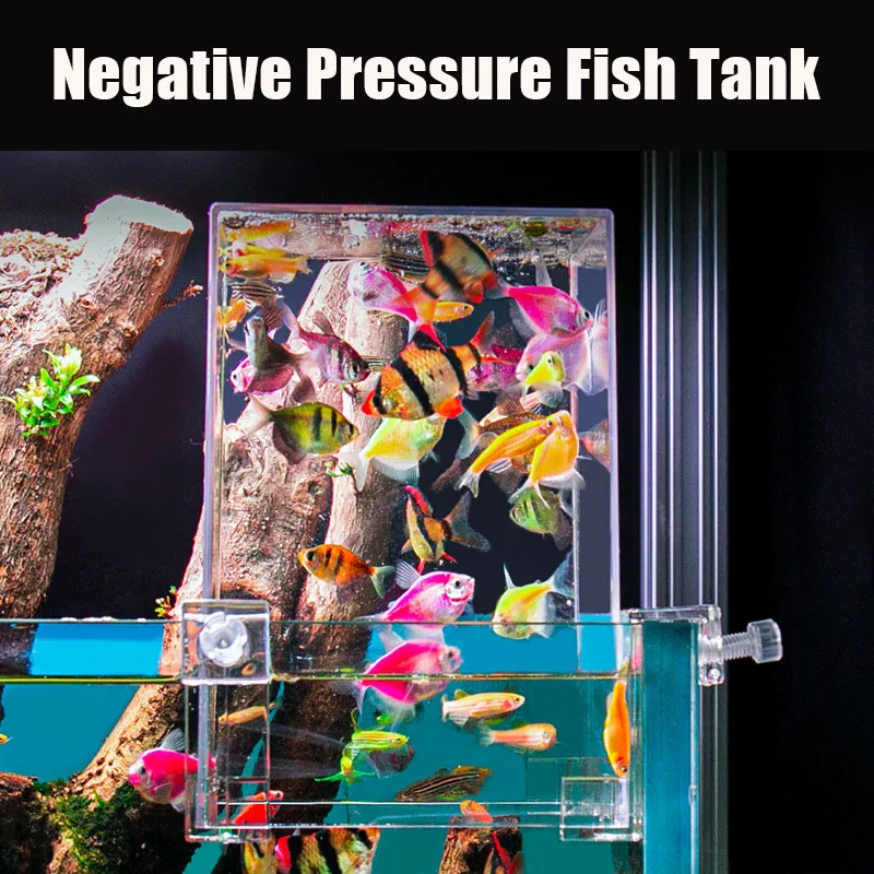 Creative Aquarium Tanks Negati - đánh giá và giá Plant Aquarium Pot