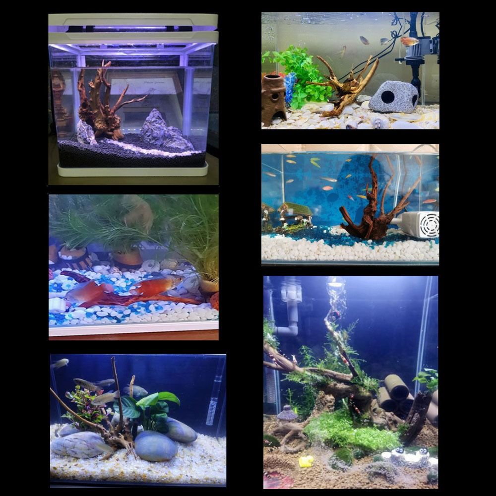 20-25CM Large Aquarium Driftwo - đánh giá và giá Aquarium Plant Substrate