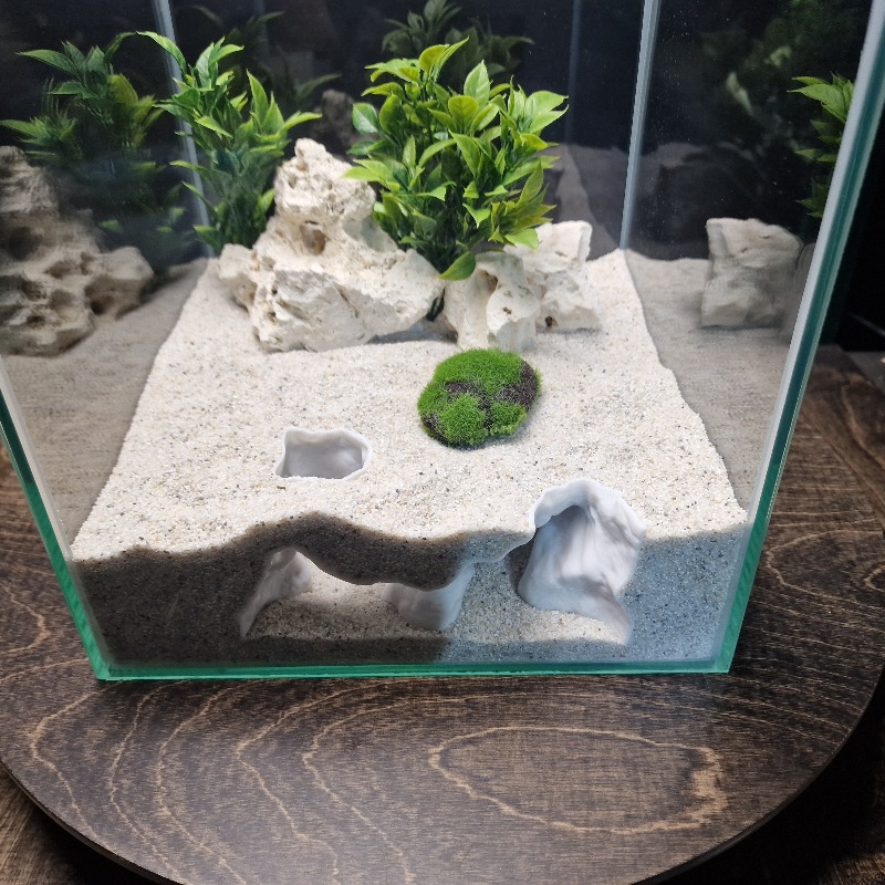 Premium 3D Print ShoreSand Aqu - đánh giá và giá Aquarium Driftwood