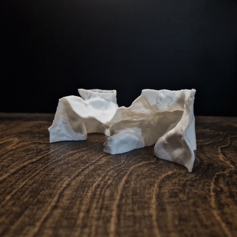 Premium 3D Print ShoreSand Aqu - đánh giá và giá Aquarium Driftwood