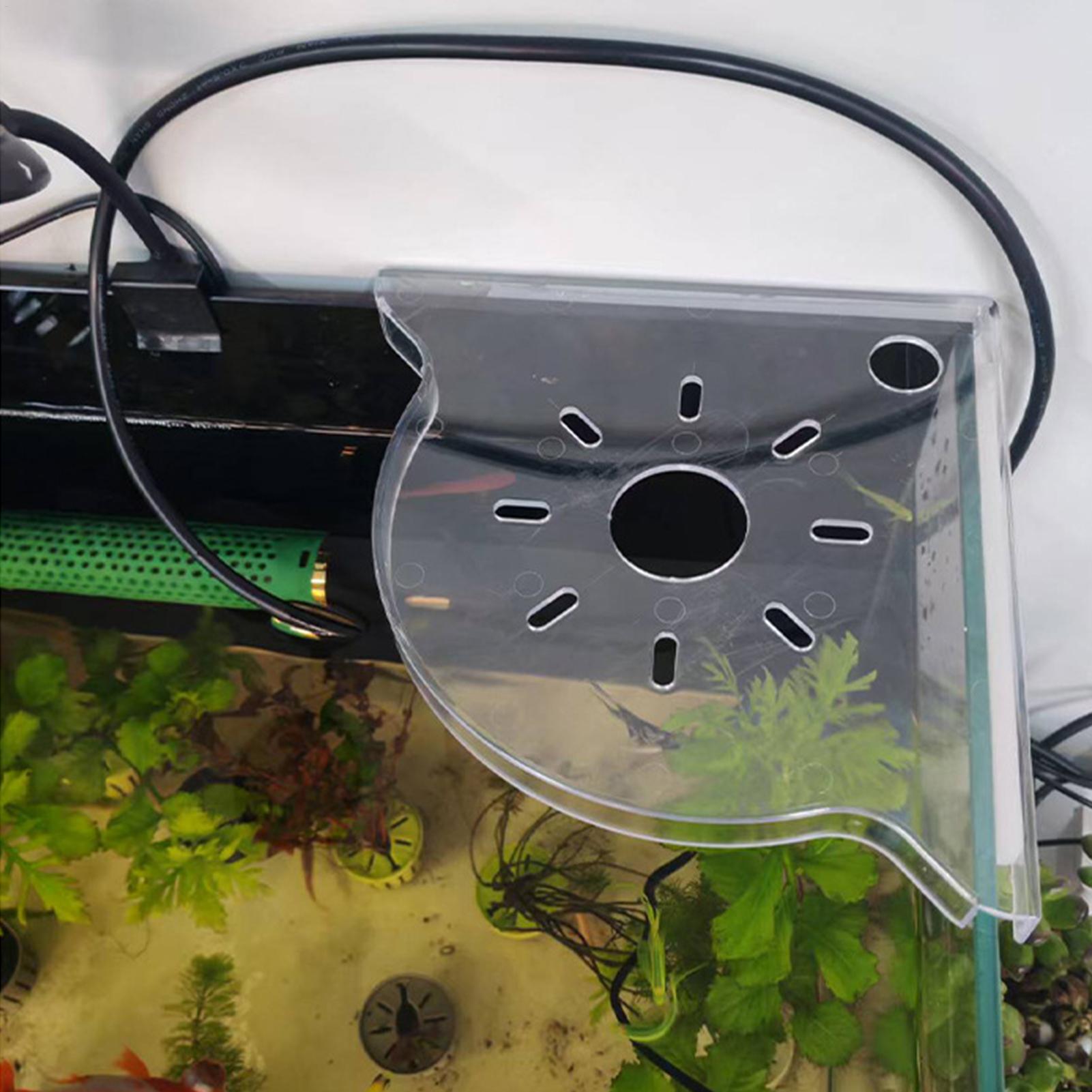 Triangle Fish Tank Corner Stor - đánh giá và giá Aquarium Plants Live