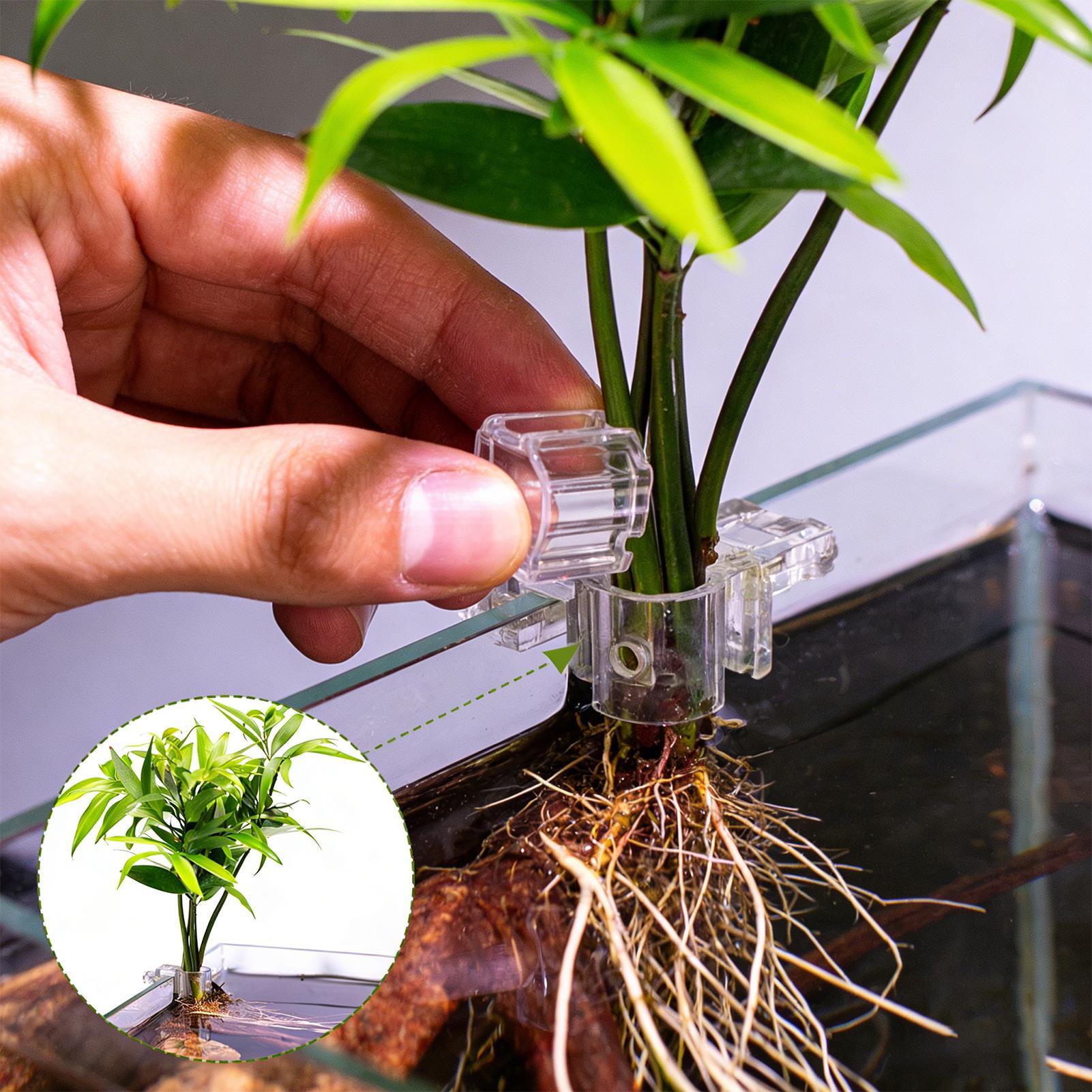 6pcs Aquarium Plant Holders Cl - đánh giá và giá Aquarium Plant Holder