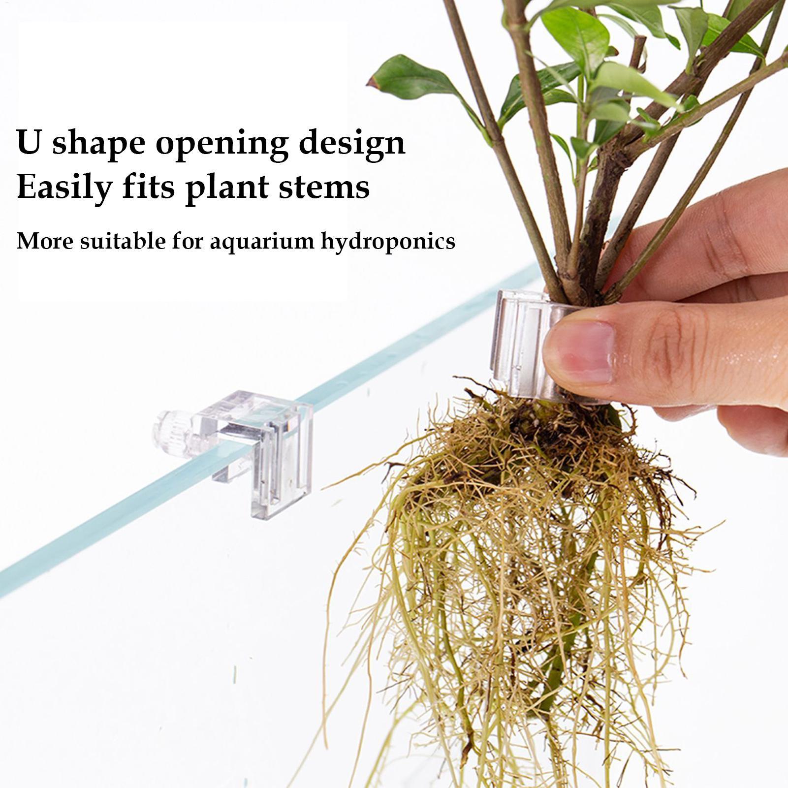 Mini Fish Tank Planter Pot 6Pc - đánh giá và giá Aquarium Fertilizer