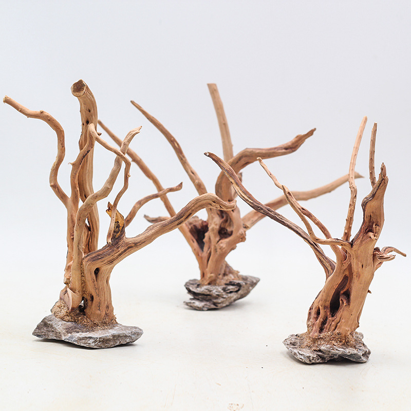 1 Bể Cá Cảnh Quan Gỗ Đồ Trang  - đánh giá và giá Aquarium Driftwood