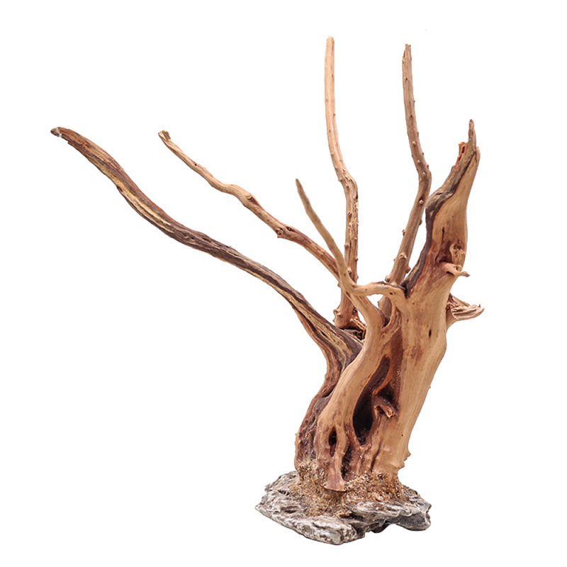 1 Bể Cá Cảnh Quan Gỗ Đồ Trang  - đánh giá và giá Aquarium Driftwood