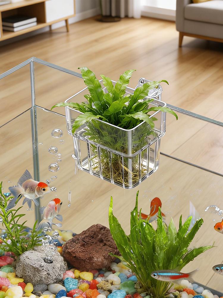Aquarium Plant Holder Transpar - đánh giá và giá Plant Aquarium Pot