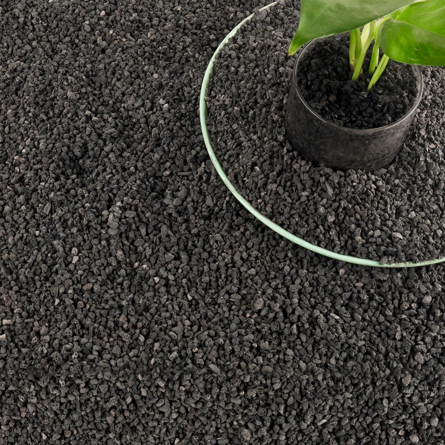 3lb Black Aquarium Filter Medi - đánh giá và giá Plant Aquarium Pot
