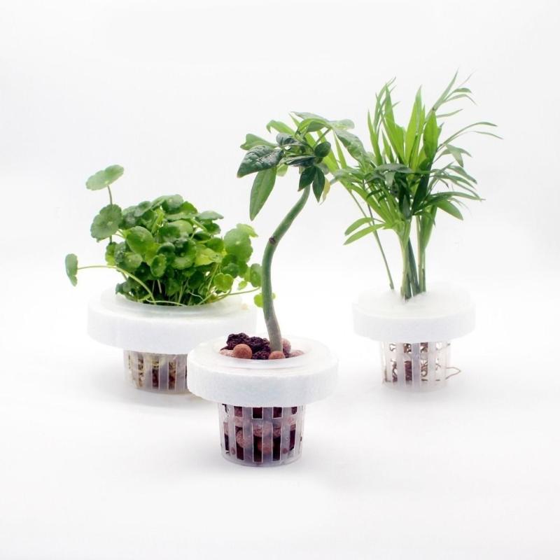 Floating Aquatic Plant Basket  - đánh giá và giá Plant Aquarium Pot