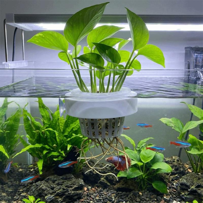 Floating Aquatic Plant Basket  - đánh giá và giá Plant Aquarium Pot