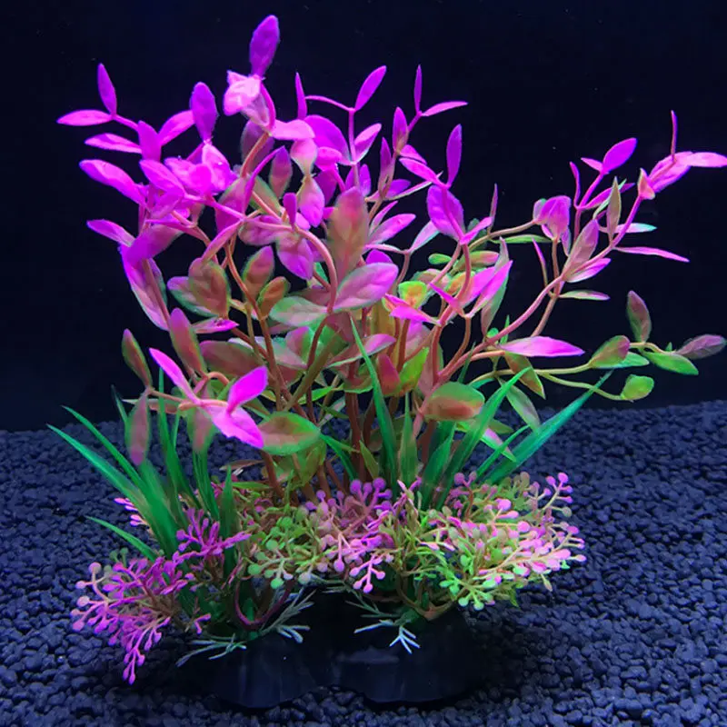 Hồ Cá Nhân Tạo Trang Trí Thực  - đánh giá và giá Live Plant Aquarium