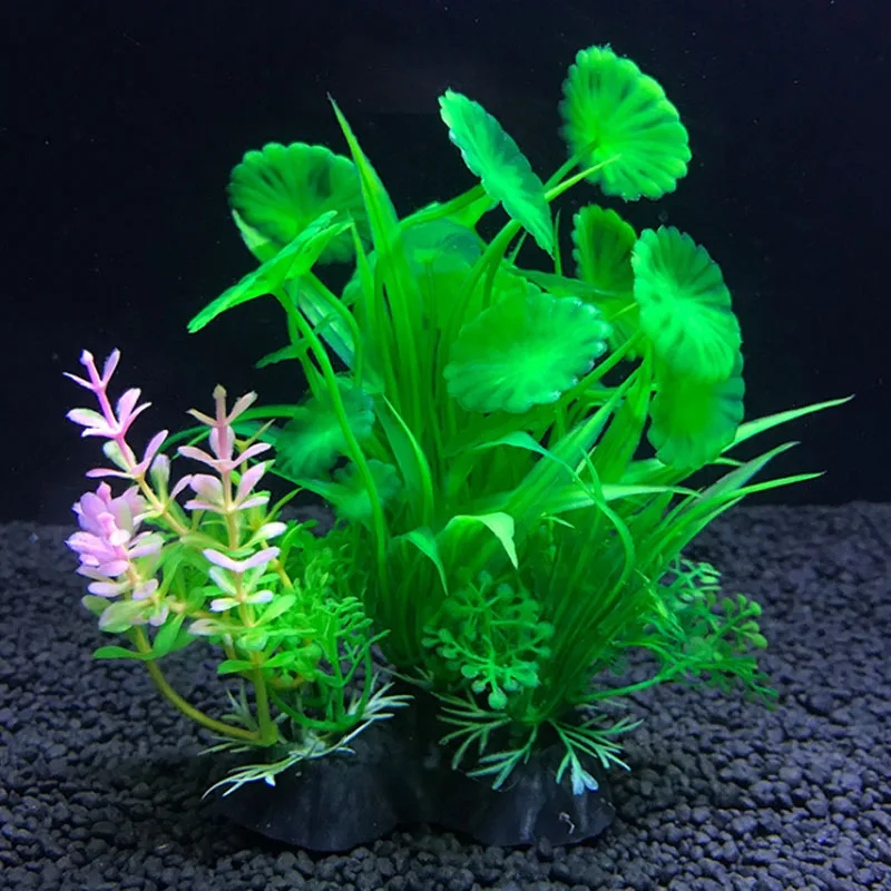 Hồ Cá Nhân Tạo Trang Trí Thực  - đánh giá và giá Live Plant Aquarium