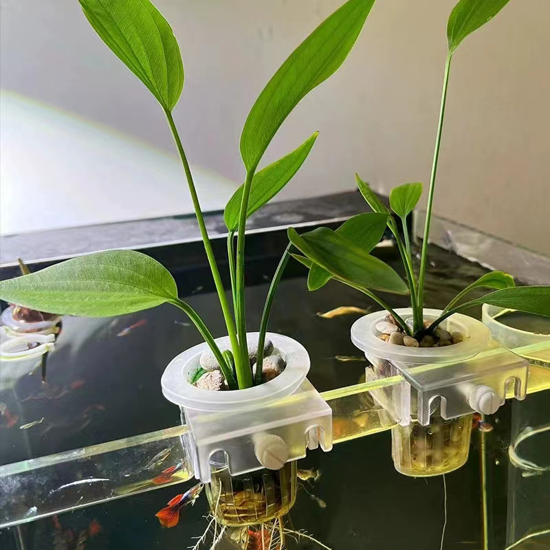 Aquarium Planting Basket Hydro - đánh giá và giá Plant Aquarium Pot