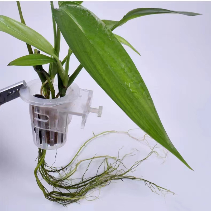 Aquarium Planting Basket Hydro - đánh giá và giá Plant Aquarium Pot