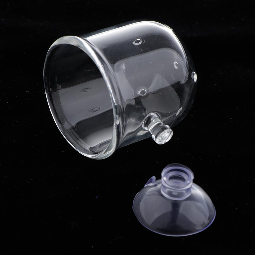 Fish Feeding Basket Glass Aqua - đánh giá và giá Plant Aquarium Pot