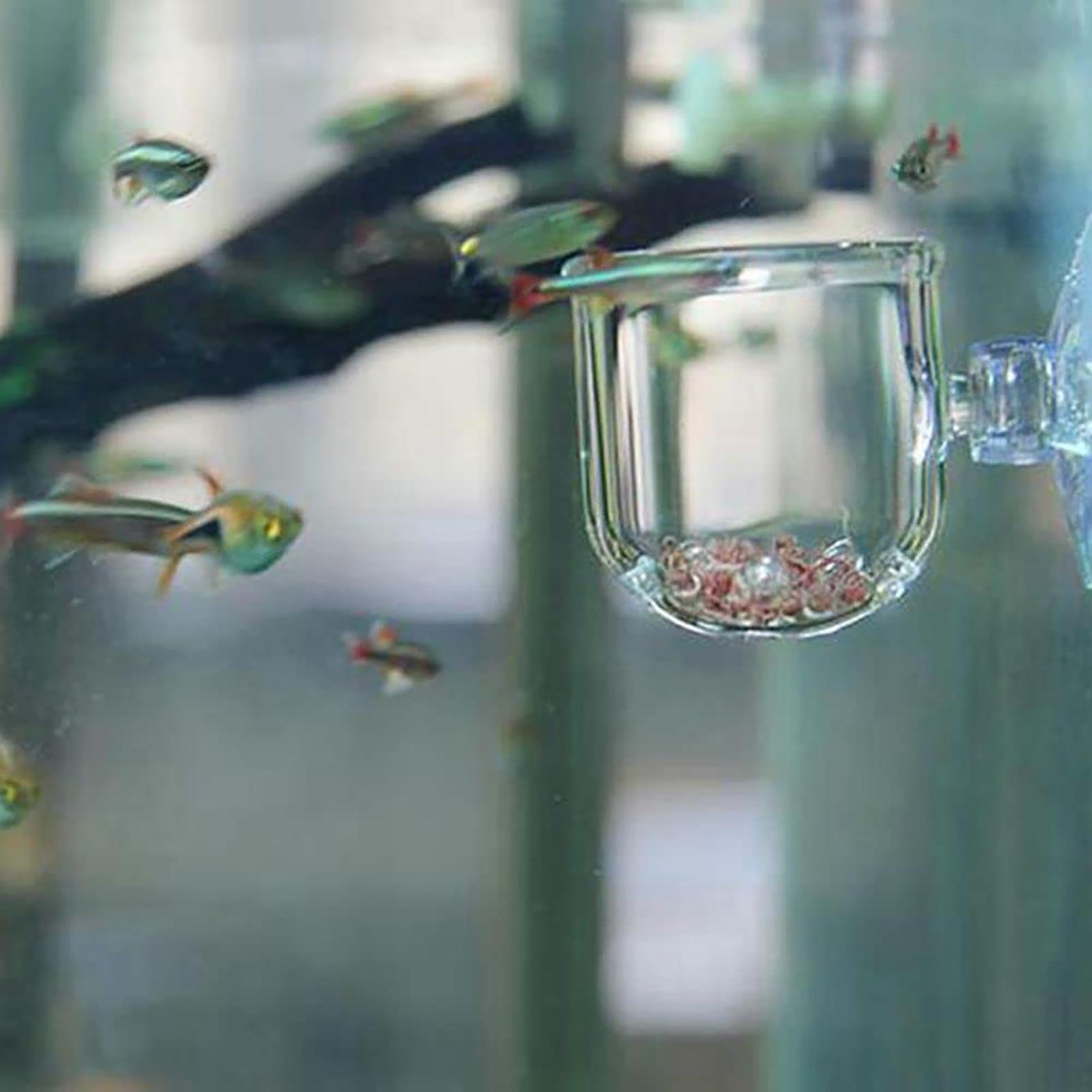 Acrylic Aquatic Plant Cup Aqua - đánh giá và giá Aquarium Plant Holder